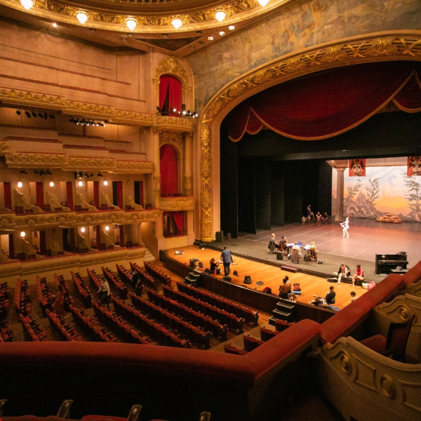 Teatro Municipal Rio de Janeiro - Full Tc Cenotecnia (5)
